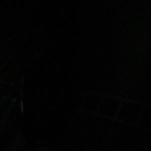 Meet your Posher, Timothy